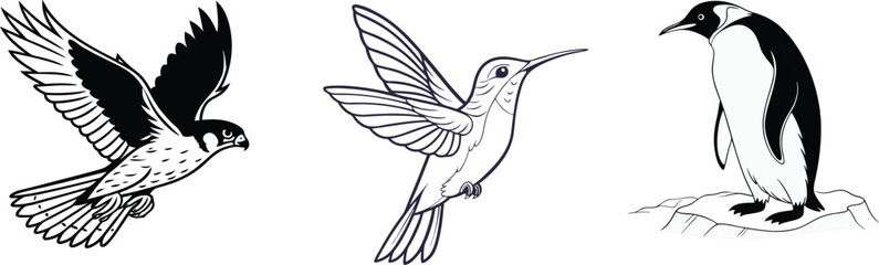 Tall Emperor Penguin, Swift Peregrine Falcon, and Tiny Hummingbird in Motion