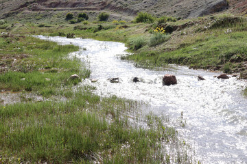 small stream flowing in the mountain