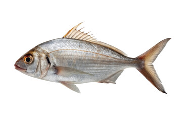 Fototapeta premium Fresh fish ready for culinary preparation and gourmet cuisine presentation