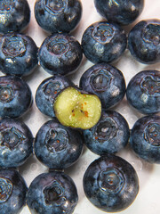 fresh blueberries in a bowl