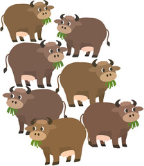 살찐 암소 7마리