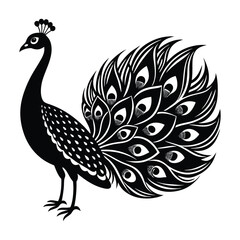 Fototapeta premium A peacock with gear feathers on white background