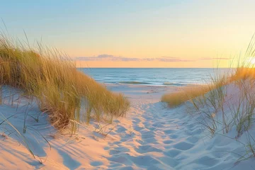 Papier peint photo Le salon Wooden track leading through sandy terrain, illuminated by soft evening colors.  © Iryna