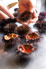 _MG_0020.CR2