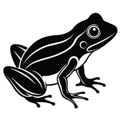 A cheerful green frog vector, a cute amphibian illustration