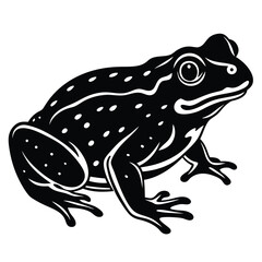 Isolated green amphibian, a macro frog on white