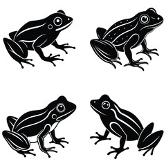 Set of dragon and lizard tattoo illustrations on white background