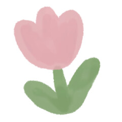 pink tulip with green leaves