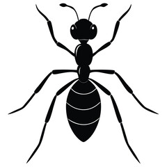 ant vector