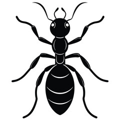 ant vector