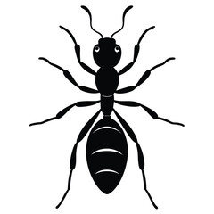 ant vector