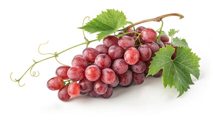 Fototapeta premium 8k image of a fresh cluster of red grapes