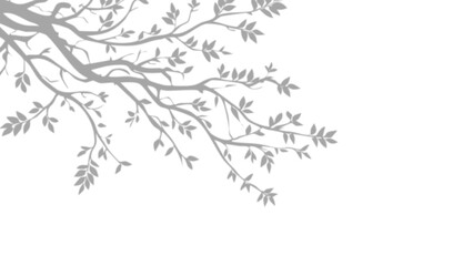 Branches et feuilles grises en PNG transparent : motif végétal délicat pour design, illustration naturelle et superposition facile