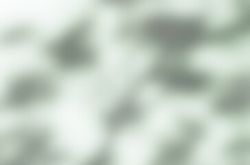 White gray yellow sun shadow of leaves tree plant and window frames on white yellow brown wall. Sunlight shining through window overlay effect shadows