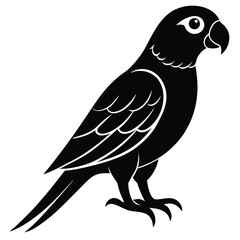 Black bird silhouette vector illustration, wild nature art