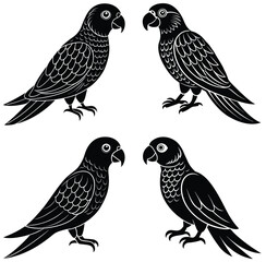 Isolated avian silhouettes depict a set of wild birds with varied beak and wing shapes against a white backdrop