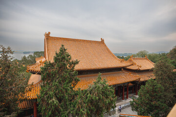 A large building characterized by a distinct roof, which is beautifully surrounded by a variety of lush trees that enhance its aesthetic appeal