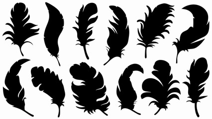set of feather silhouette vector on white background