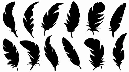 set of feather silhouette vector on white background