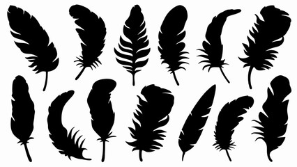 set of feather silhouette vector on white background