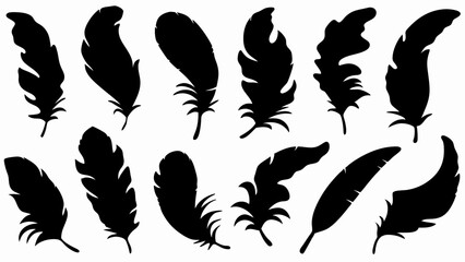 set of feather silhouette vector on white background