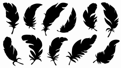 set of feather silhouette vector on white background