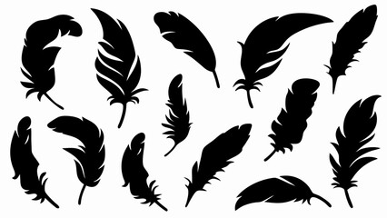 set of feather silhouette vector on white background