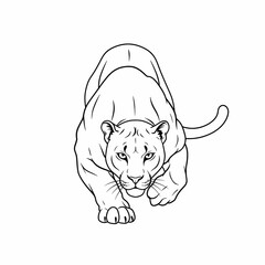 Obraz premium Powerful Cougar Line Art Majestic Big Cat Illustration