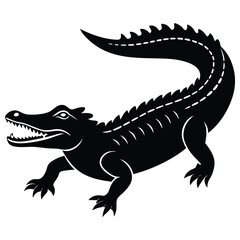 Green crocodile and alligator isolated on white background with reptile and wildlife features