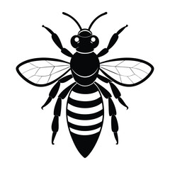 Detailed Black and White Illustration of a Bee with Wings