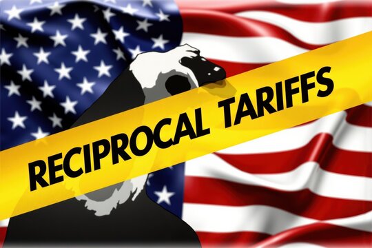 reciprocal tariffs are a tax on american consumers