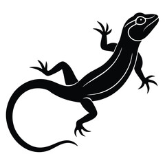 Silhouette of a lizard and dragon vector illustration on white background with animal and reptile themes