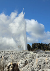 Powerful geothermal geyser in central North Island, New Zealand