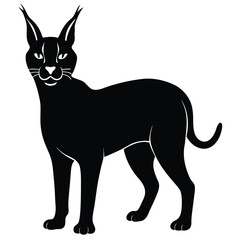 caracal vector cat