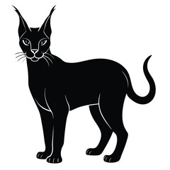 caracal vector cat