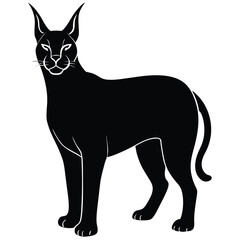 caracal vector cat