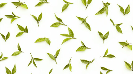 Fototapeta premium Fresh green tea leaves in a circular pattern, a minimalist botanical display of natural harmony.