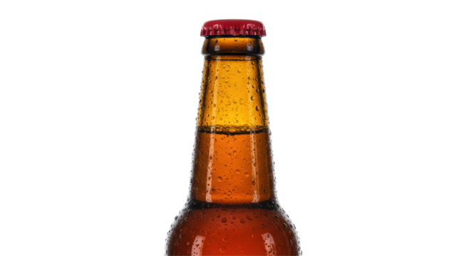 Isolated Beer Bottle