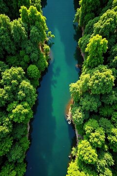 Serpentine Tempisque River, lush green Palo Verde Aerial view , top view, Central America