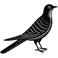cucko vector sihouette