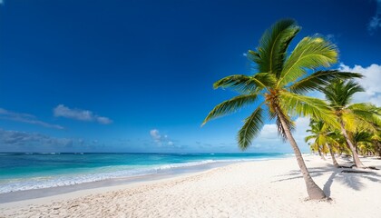 Obraz premium Coconut Palm trees on white sandy beach in Dominican Republic