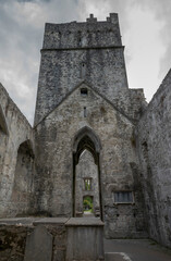 The stone Muckross Abbey in Ireland with a prominent tower and arched entrance under an overcast sky
