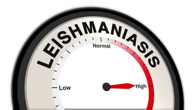 Leishmaniasis text or word shown with a barometer or tachometer-style gauge, representing varying levels of severity in infection caused by Leishmania parasites transmitted by sandflies