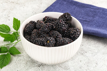 Natural organic sweet ripe blackberry