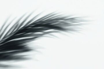 Obraz premium Blurred palm leaf design