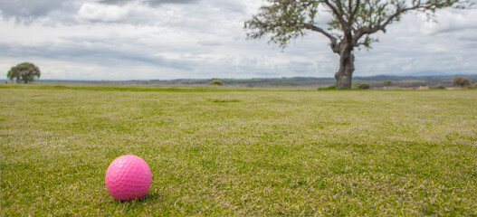 Golf green area surrounded by mediterranean holm oak forest