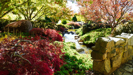 Mayfield Garden  NSW Australia.Colorful autumn foliage and a serene stream in a lush garden setting