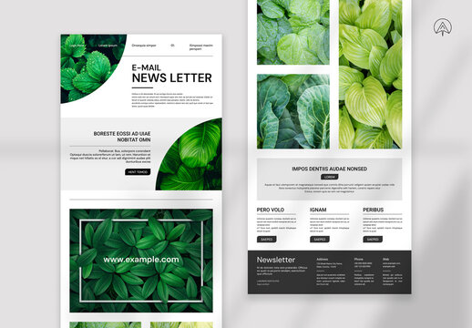 Email News Letter Layout.