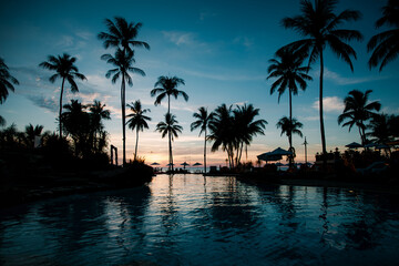 Obraz premium A tropical beach at twilight in Thailand, featuring silhouettes of palm trees and shimmering reflections on the water, exuding luxury and tranquility.