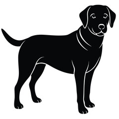 labrador vector sihouette with a white beckground